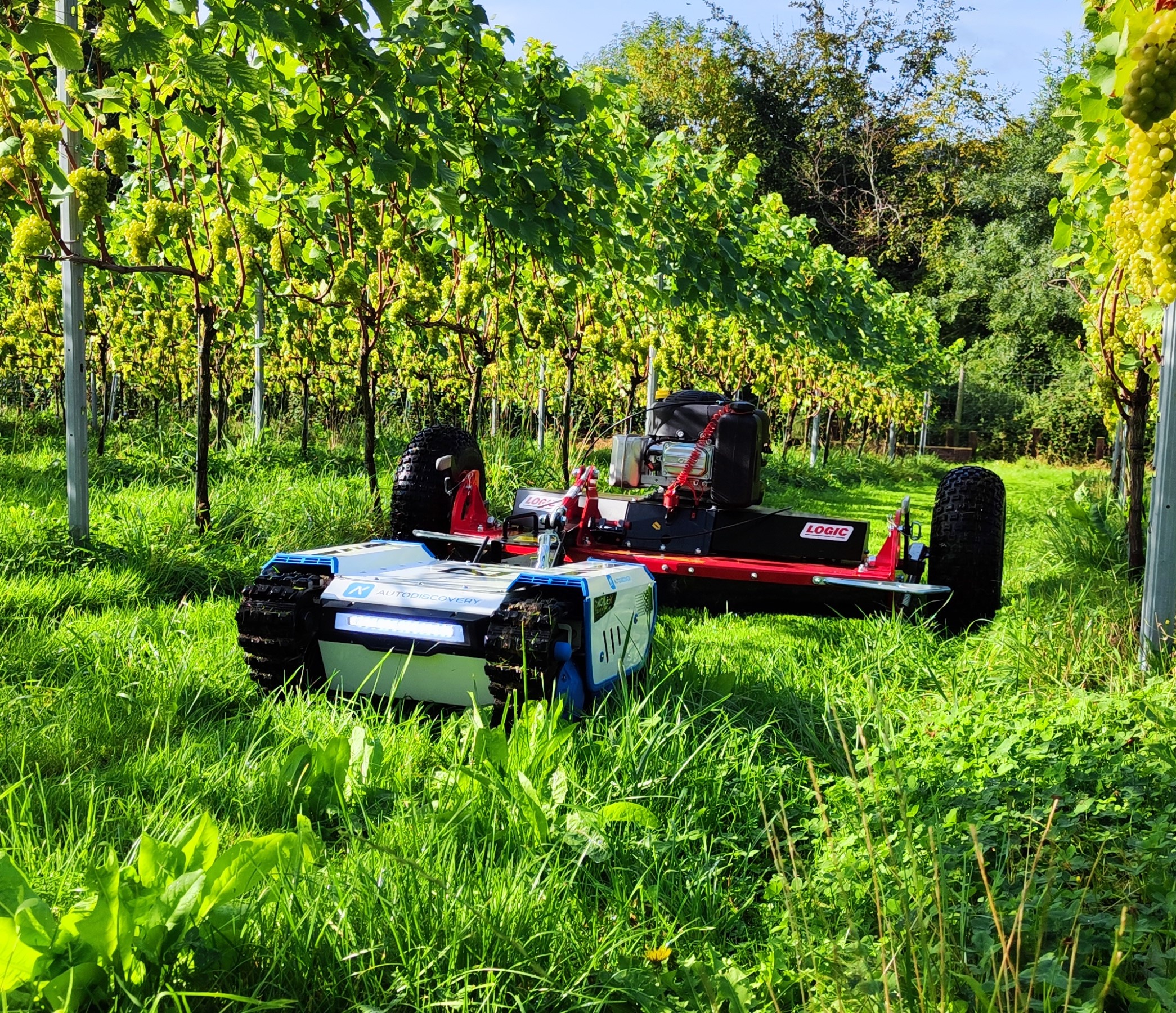 Bunker Mini robot iun agriculture